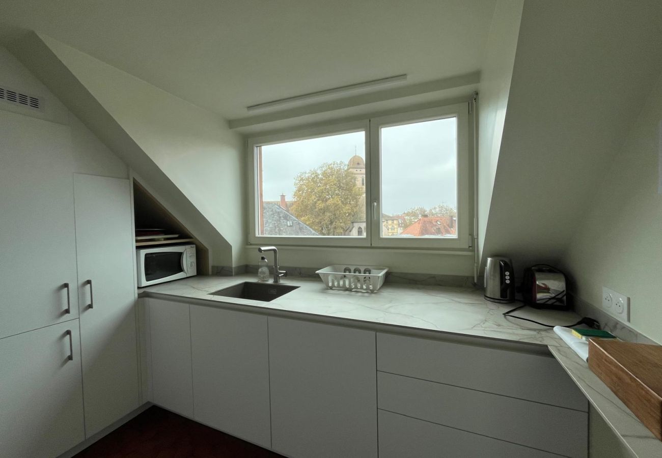 Ferienwohnung in Strasbourg - emilie 145m2 ac 1 free parking 4br 2bth