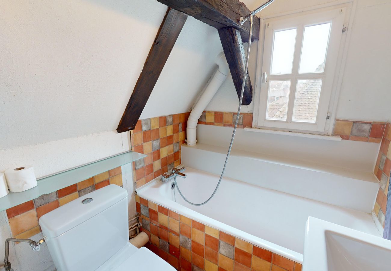 Ferienwohnung in Colmar - La Grande Ourse