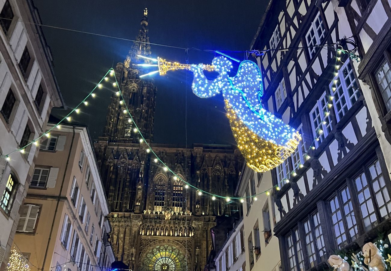 Ferienwohnung in Strasbourg - Hallebardes Cathédrale