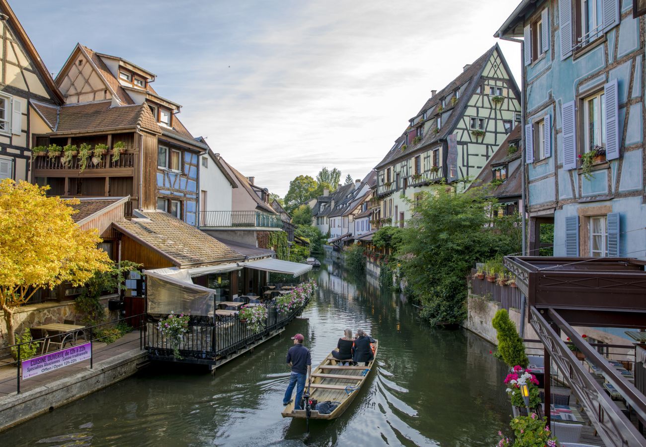 Apartment in Colmar - Le Charme Colmarien