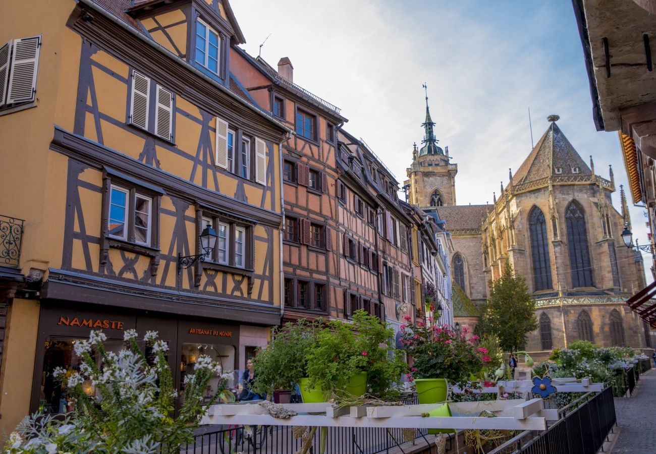 Apartment in Colmar - Le Charme Colmarien