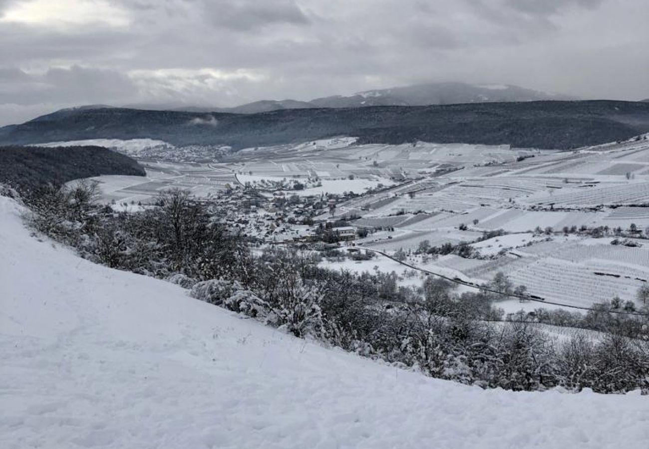 Appartement à Westhalten - le tilleul de la vallée noble 2 gite 6 personnes