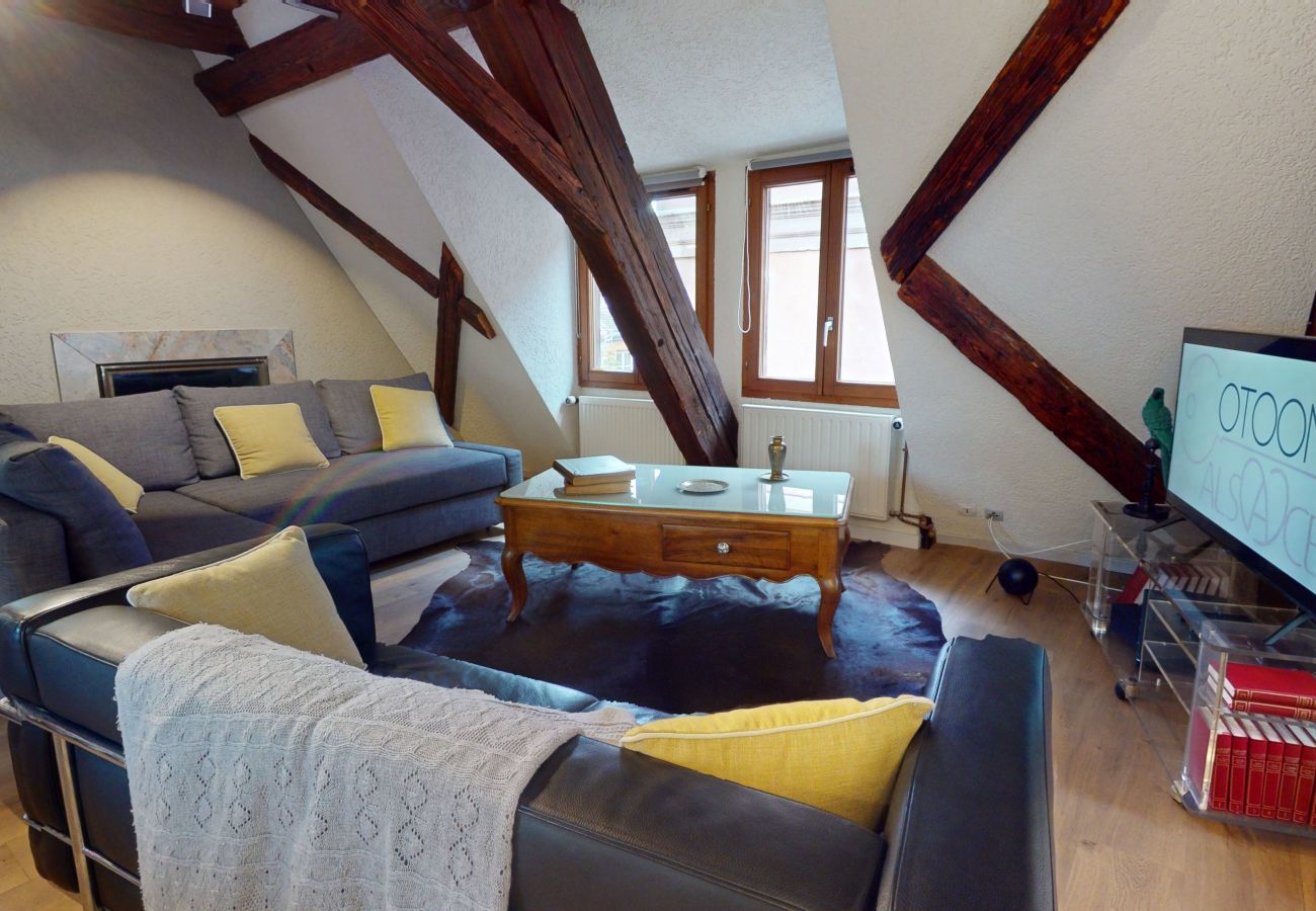 Appartement à Colmar - La balade de Molly