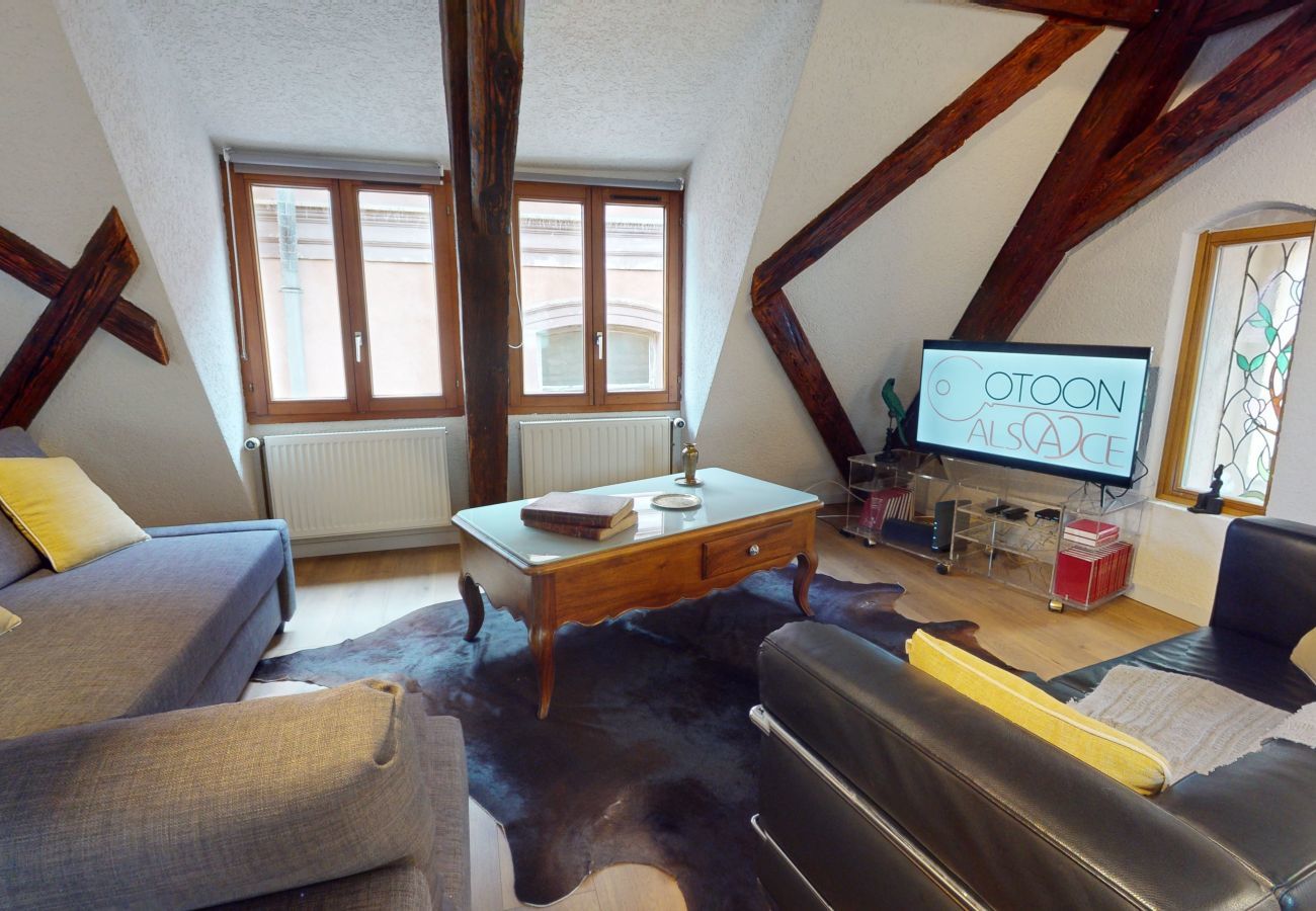 Appartement à Colmar - La balade de Molly