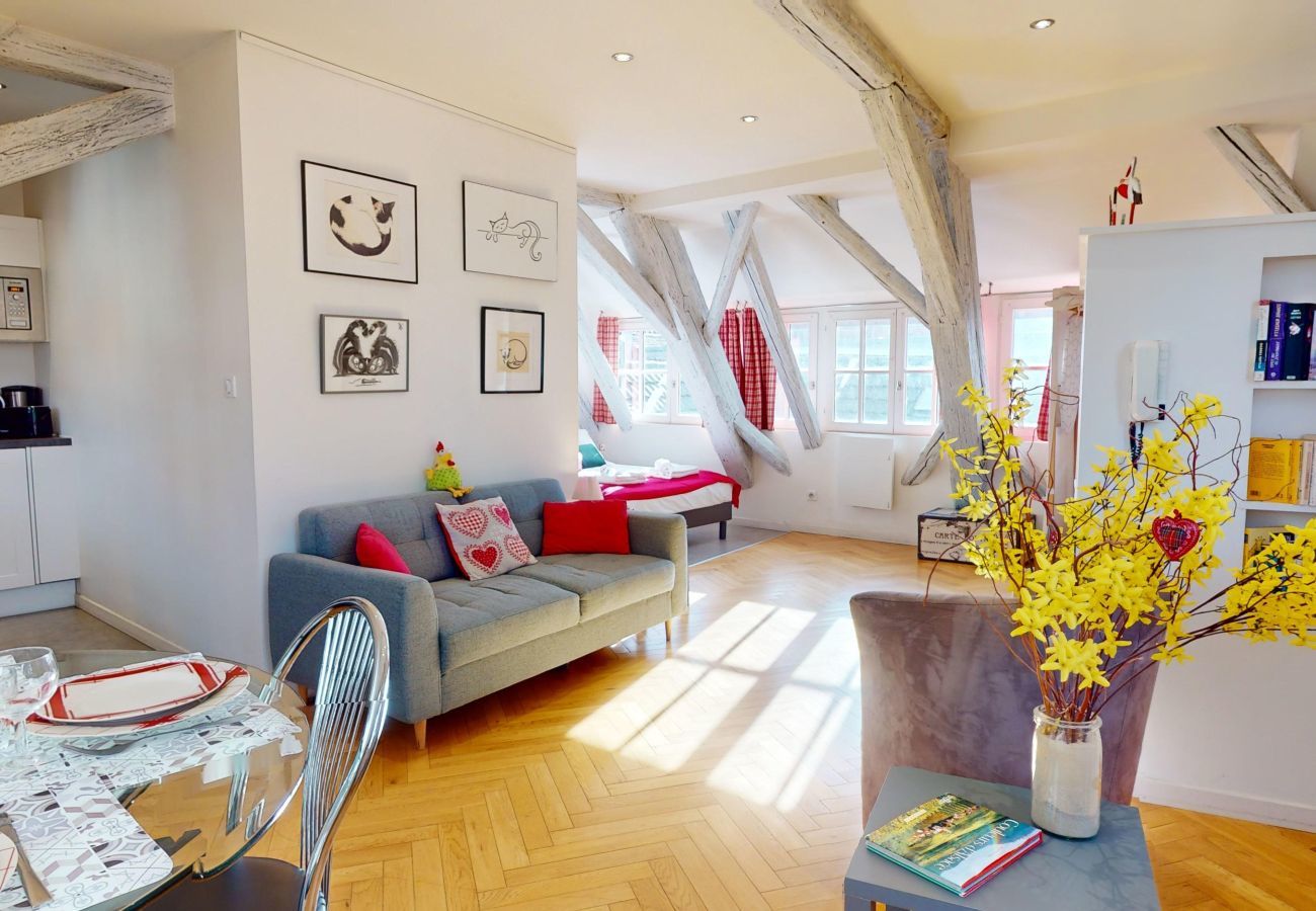 Appartement à Colmar - Duplex Le Coup de Coeur - Hypercentre